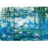 Puzzles pour Adultes 1000 pièces Coquelicots à Argenteuil de Claude Monet 70 x 50 cm Puzzles pour Adultes Jeu éducatif Challe