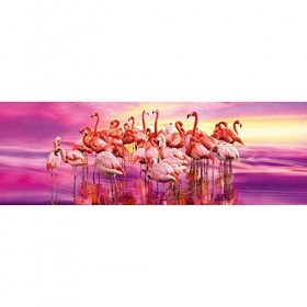 Clementoni, 39427, Collection Panoramique Puzzle, Flamingo Danse, 1000&nbsp;Pièces Taille Unique Multicolore