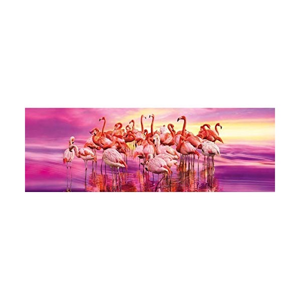Clementoni, 39427, Collection Panoramique Puzzle, Flamingo Danse, 1000 Pièces Taille Unique Multicolore