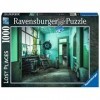 Ravensburger - Puzzle 1000 pièces - Lhôpital psychiatrique Lost Places - Adultes et enfants dès 14 ans - Puzzle de qualité