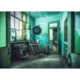 Ravensburger - Puzzle 1000 pièces - Lhôpital psychiatrique Lost Places - Adultes et enfants dès 14 ans - Puzzle de qualité