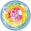 Ravensburger - Puzzle Adulte - Puzzle rond 500 p - Poke bowl Circle of Colors - 17351