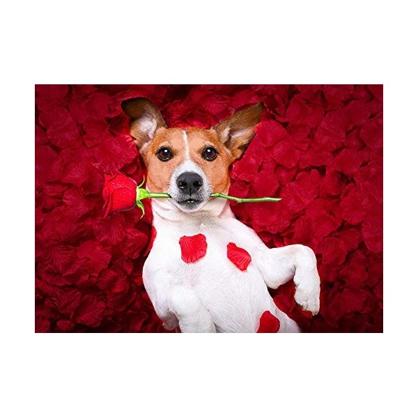 Lsping puzzle 1000 pièces adultes animaux Chiens Roses Jack Russell Terrier Red Petals Glance 50x70cm