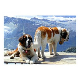 Puzzle 1000 Pièces Pour Adultes Chien Saint-Bernard Loisirs Jouets Pour Enfants Décoration De La Maison Cadeaux DArt