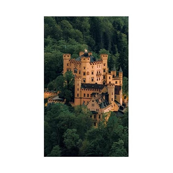 Hohenschwangau Castle Puzzles for Adults 300 Piece Jigsaw Puzzle for Adults Game Toys Gift Home Decoration Collectiable38*26c