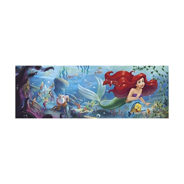 Clementoni- Disney Princess Princess-1000 Pièces-Puzzle, Divertissement pour Adultes-Fabriqué en Italie, 39658, Black