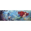 Clementoni- Disney Princess Princess-1000 Pièces-Puzzle, Divertissement pour Adultes-Fabriqué en Italie, 39658, Black