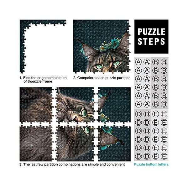 Puzzle 1000 pièces Maine Coon Puzzles pour Adultes Puzzles en Carton Difficiles à compléter mais Amusants et Humoristiques （T