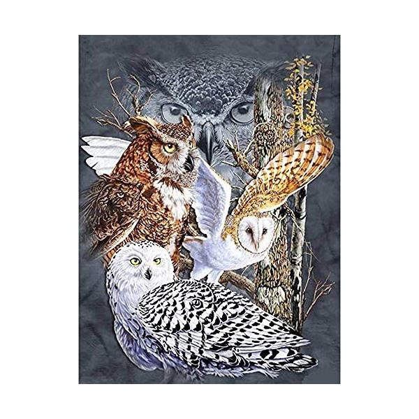 Hibou Animal Night Puzzle Jeux de Puzzle 1000 Pièces pour Adultes Adolescents Enfants