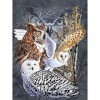 Hibou Animal Night Puzzle Jeux de Puzzle 1000 Pièces pour Adultes Adolescents Enfants