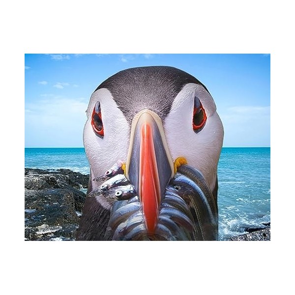 We Shall Have a Fishy Puffin Puzzle de 1000 pièces