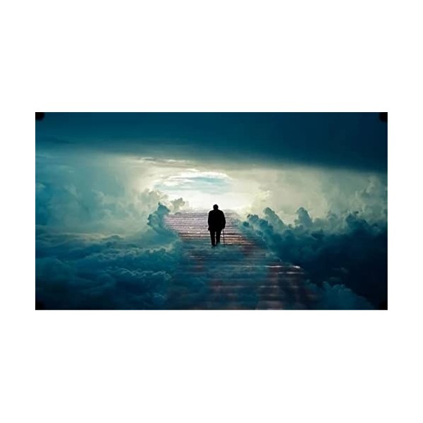 Puzzles pour adultes Puzzle 500 pièces - Canard - pour adultes 500 pièces Puzzle 500 pièces-52x38cm 20.47x41.96inch 