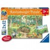 Ravensburger- Tiere enfants-05673-Animaux dans la forêt et dans la Prairie-2 x 12 pièces + Poster de Connaissances Weshalb Po