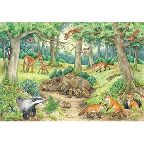 Ravensburger- Tiere enfants-05673-Animaux dans la forêt et dans la Prairie-2 x 12 pièces + Poster de Connaissances Weshalb Po