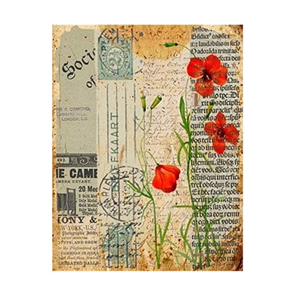 Puzzles pour Adultes Puzzle 500 Pièces - Formule Mathématique - pour Adultes 500 Pièces Puzzle 500 Pièces-52x38cm 20.47x41.96