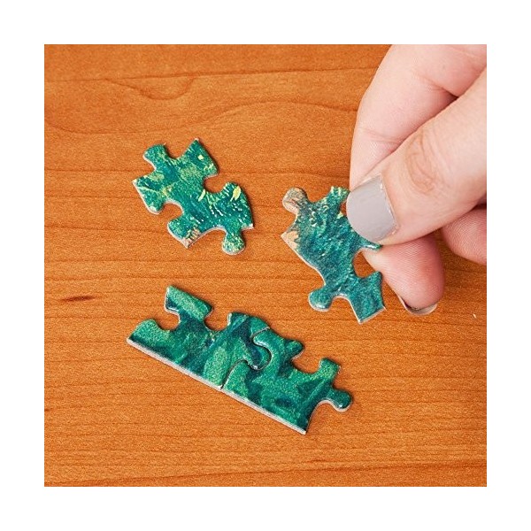 Bits and Pieces - Paradis sur Terre - Jigsaw Puzzle de 1000 Pieces pour Adultes - Chaque Puzzle Mesure 50.8 cm x 68.58 cm