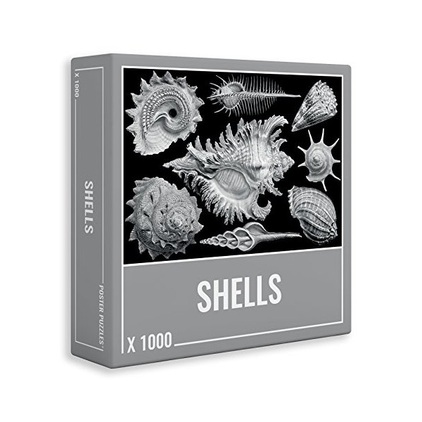 Shells : Puzzle Haut de Gamme de 1000 pièces pour Les Adultes et Les Adolescents ! Puzzle compliqué avec Un Design Difficile 