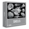 Shells : Puzzle Haut de Gamme de 1000 pièces pour Les Adultes et Les Adolescents ! Puzzle compliqué avec Un Design Difficile 
