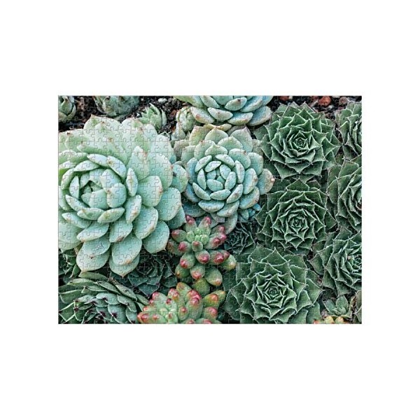 Succulent Garden 2-sided 500pc Puzzle