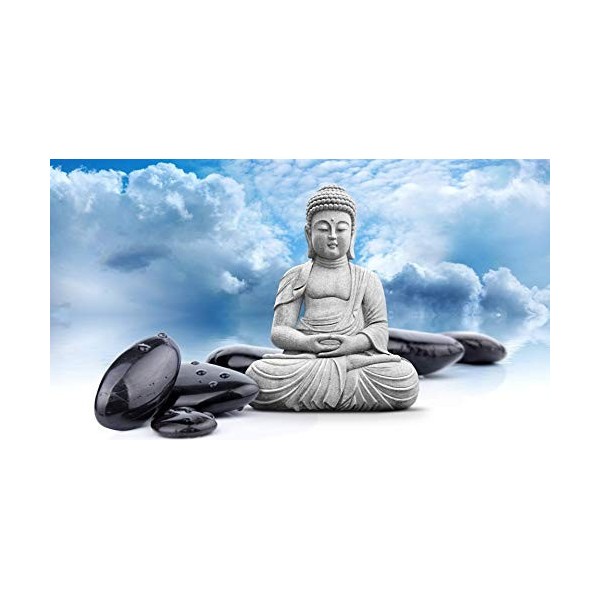 Puzzle statue de Bouddha et pierre 1000 pièces pour adultes, adolescents et enfants