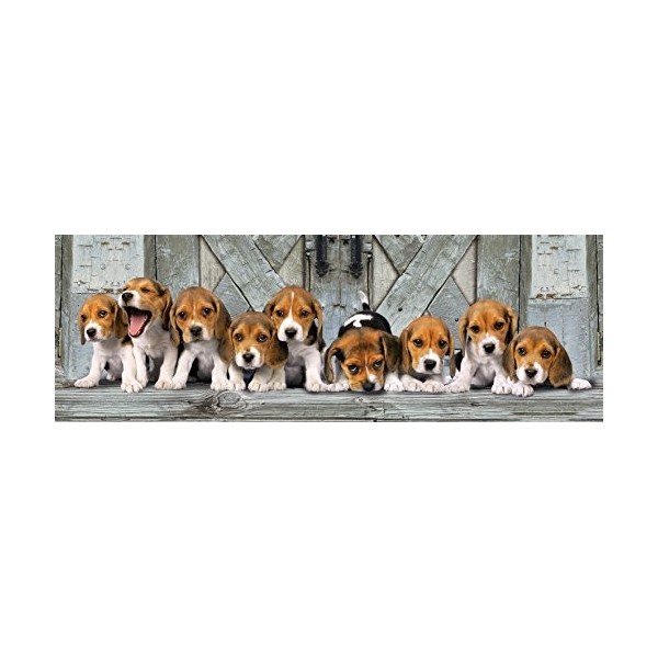 Clementoni - 39076.2 - Puzzle Collection - 1000 Pièces - Beagles