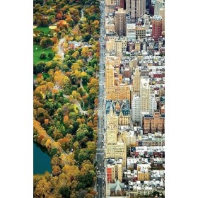 Split Town - Puzzle en Bois 300 pièces - Puzzle Durable pour Adultes