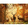 500 pièces Nature Automne avec cerf Adulte Décompression Puzzle Enfant Fun Mode Créatif Halloween