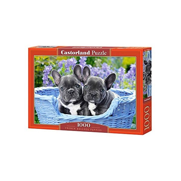 Castorland- French Bulldog Puppies,Puzzle 1000 Teile 104246-2, coloré