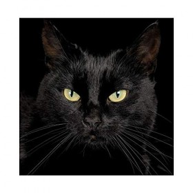 Yingxin34 Puzzle 1000 Pièces Adultes - Chat Noir Puzzles en en Bois - Relax Puzzles Jeux- Puzzle Carte pour Enfants et Adulte