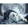 Yingxin34 Puzzles pour Adultes Puzzle de 1000 pièces pour Adultes Puzzle de 1000 pièces de 1000 pièces - Puzzle de Loup Blanc