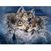 Yingxin34 Puzzles pour Adultes Puzzle de 1000 pièces pour Adultes Puzzle de 1000 pièces de 1000 pièces - Puzzle de Loup Blanc