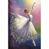 1000 pièces de Puzzles pour Adultes, Danseuse, Bonnes Collections et Cadeaux danniversaire 26X38cm（10.23 * 14.96inch）