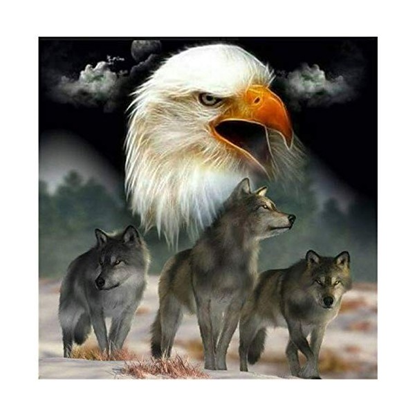 Yingxin34 Puzzles 1000 pièces pour Adultes et Adolescents - Puzzle Femme Africaine 26x38cm