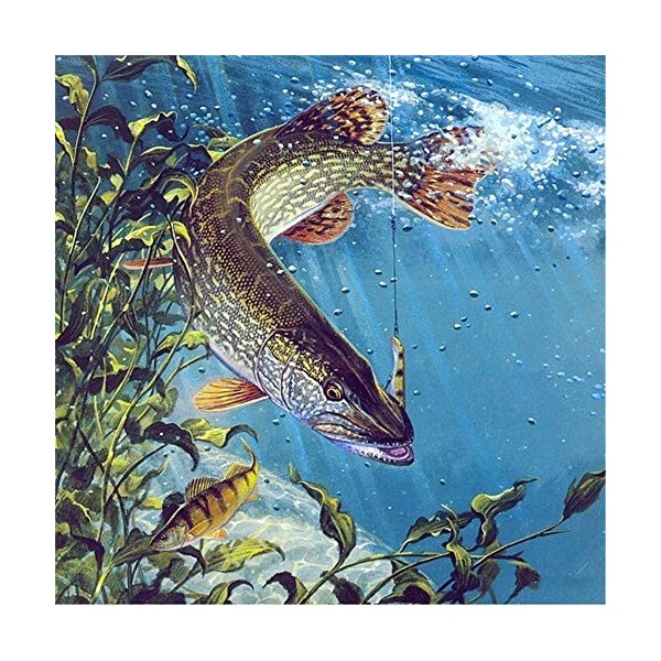 Puzzles pour Adultes et Adolescents Puzzles 1000 pièces Pêcher sur leau pour Adultes Jeu de Puzzle pour Enfants Jouets Cadea