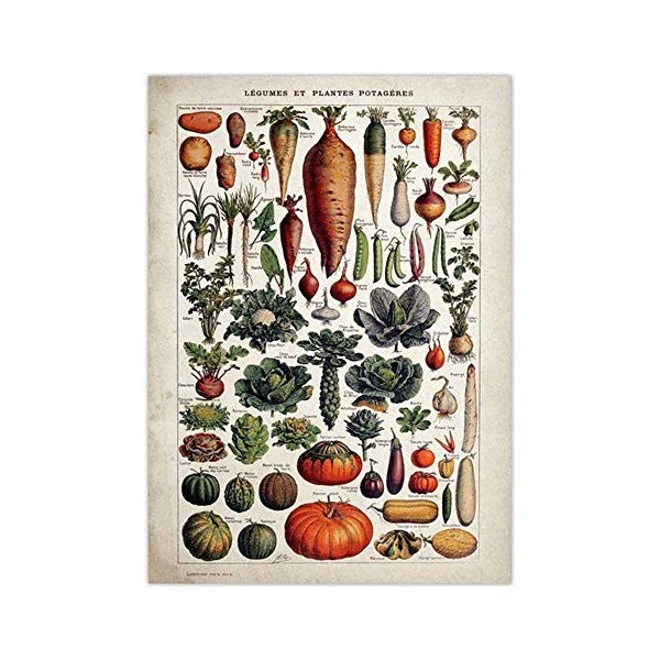 Puzzles pour adultes 1000 pièces - Femme accroupie dans les toilettes - Puzzles 1000 pièces de qualité supérieure pour adulte