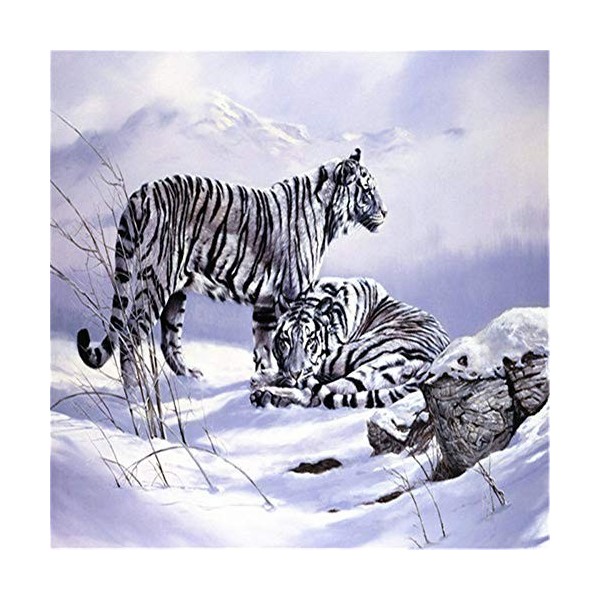 Puzzle 1000 pièces Adultes Puzzles Portrait de lÉgypte ancienne pour Adultes et Enfants Puzzle Adulte 26X38cm（10.23 * 14.96i