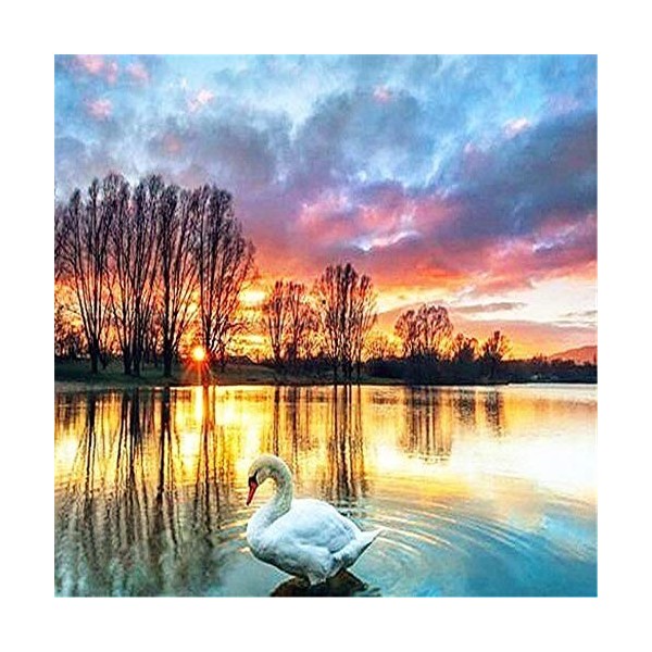 Yingxin34 Puzzle Adulte Arbre de Vie Puzzles 1000 pièces 26x38cm