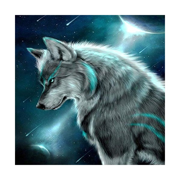 Puzzle 1000 Pièces Adulte Puzzle Danseuse pour Enfants Adolescent 26X38cm（10.23 * 14.96inch）