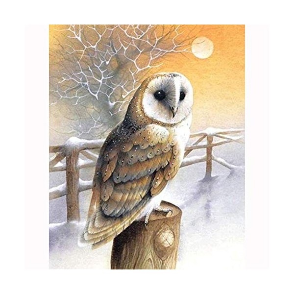 Puzzle 1000 Pièces Adulte Puzzle Danseuse pour Enfants Adolescent 26X38cm（10.23 * 14.96inch）