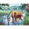 Puzzle | Cheval dans la rivière | 1000 pièces