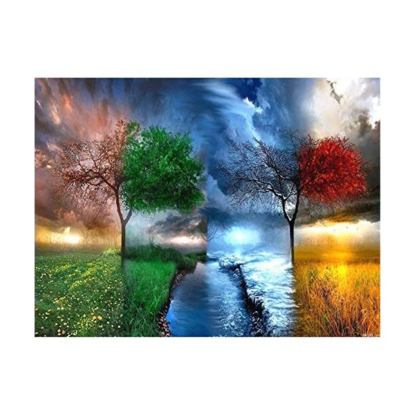 Puzzles pour adultes 1000 pièces, performances en quatre saisons différentes Puzzles pour adultes Grand paysage Puzzle pour a