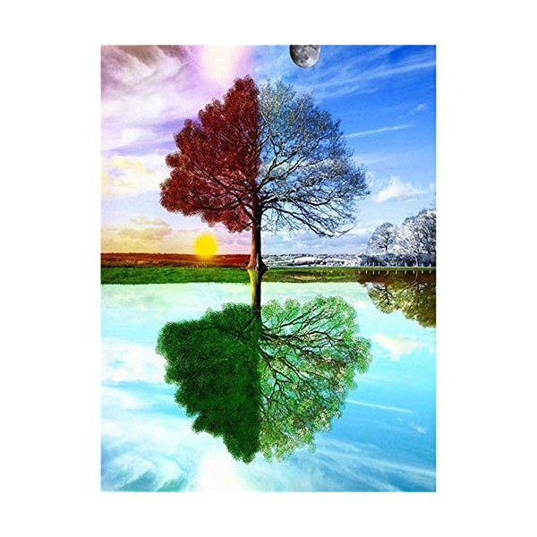 Puzzles pour adultes 1000 pièces, performances en quatre saisons différentes Puzzles pour adultes Grand paysage Puzzle pour a