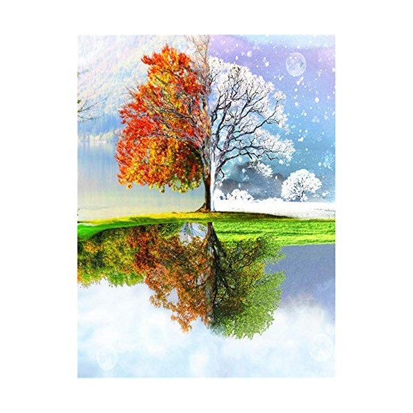 Puzzles pour adultes 1000 pièces, performances en quatre saisons différentes Puzzles pour adultes Grand paysage Puzzle pour a