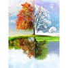 Puzzles pour adultes 1000 pièces, performances en quatre saisons différentes Puzzles pour adultes Grand paysage Puzzle pour a