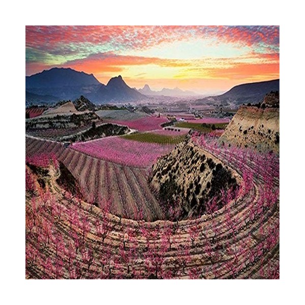 Puzzle Adulte 1000 Pièces Champ de fleurs rouges Puzzle Classique Kit Bricolage Jouet en Bois Cadeau Unique Décor À La Maison