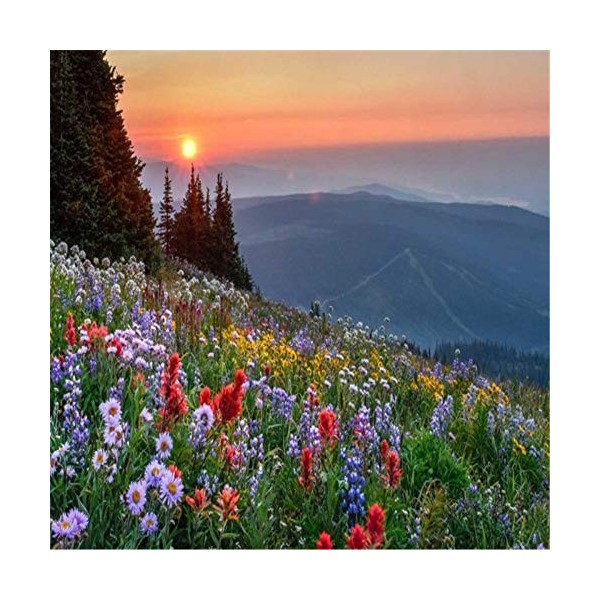 Puzzle Adulte 1000 Pièces Champ de fleurs rouges Puzzle Classique Kit Bricolage Jouet en Bois Cadeau Unique Décor À La Maison