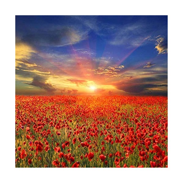 Puzzle Adulte 1000 Pièces Champ de fleurs rouges Puzzle Classique Kit Bricolage Jouet en Bois Cadeau Unique Décor À La Maison