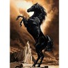 Yingxin34 Puzzles pour Adultes 1000 pièces | Puzzles Superbes 1000 pièces pour Adultes Cheval Noir Debout | Puzzles de 1000 p