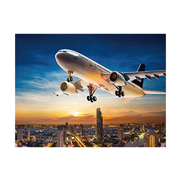 Puzzle 500 Pièces Adultes Avion de Ligne Challenge Puzzle Adulte, Multicolore