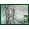 Cobblehill 80037 1000 PC Ghost of the North puzzle, différents - version anglaise